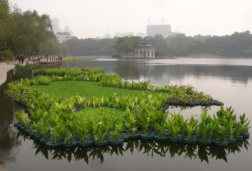 5a9916262ac01.jpg 201412415228.jpg